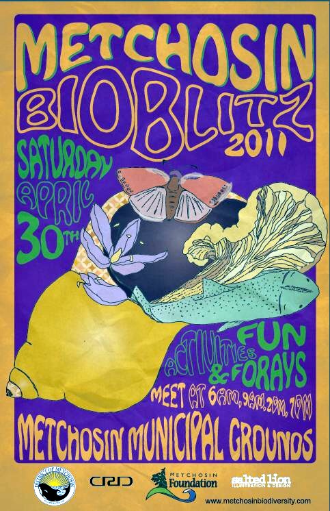 Bioblitz poster